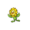 Pokemon #192 - Sunflora