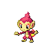 Pokemon #390 - Chimchar (Shiny)