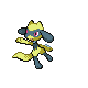 Pokemon #447 - Riolu (Shiny)