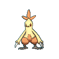 Pokemon #256 - Combusken (Shiny)