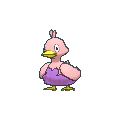 Pokemon #580 - Ducklett (Shiny)