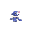 Pokemon #728 - Popplio (Shiny)