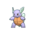 Image for #008 - Wartortle