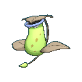 Pokemon #071 - Victreebel (Shiny)