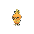 Image for #255 - Torchic