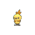 Image for #255 - Torchic