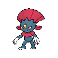 Image for #461 - Weavile