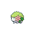 Image for #492 - Shaymin