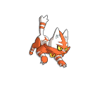 Pokemon #726 - Torracat (Shiny)